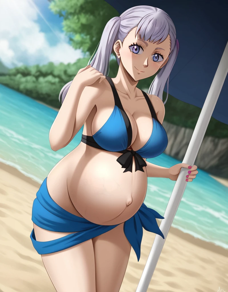 noelle_blackclover, Noelle Silva, Black Clover, long silver hair, waist-length hair, half-up half-down hairstyle, ribbon, side-parted bangs, almond-shaped blue eyes, high-quality, ultra-detailed, beast quality, 8K resolution,
looking at viewer, dutch angle, cowboy shot, smile, pregnant belly, large belly, big belly, big Breasts, belly button,
1girl,solo, indoors, beach, happy, Smiling, rub belly,
full body, Nail polish,