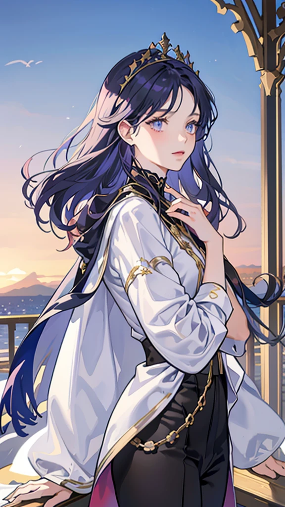There are pavilions in the background,Dark blue whale in the middle ground,Prospect for a person,Has dark purple hair,Up half of hair,gold gemstone tiara,Side parted bangs,Pupils are light purple,The upper body is wearing a wizard costume,The lower body is suit pants,Have a cloak,Looks warm, kind and capable