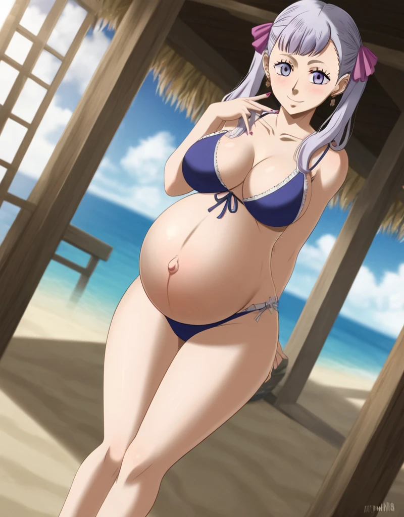 noelle_blackclover, Noelle Silva, Black Clover, long silver hair, waist-length hair, half-up half-down hairstyle, ribbon, side-parted bangs, almond-shaped blue eyes, high-quality, ultra-detailed, beast quality, 8K resolution,
looking at viewer, dutch angle, cowboy shot, smile, pregnant belly, large belly, big belly, big Breasts, belly button, Earrings,
1girl,solo, indoors, beach, happy, Smiling, rub belly, selfing,
full body, Nail polish,