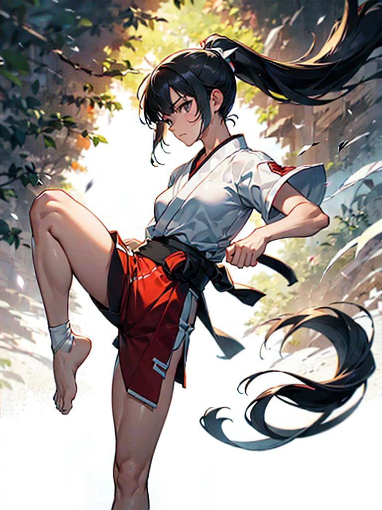 One person, Karate Stance,High Kick,Black Hair, ponytail, Slim body,Small breasts,Bad mood, Slanted Eyes, Character profile, Vanishing Point, Ultra Wide Angle, Japanese illustration style, 