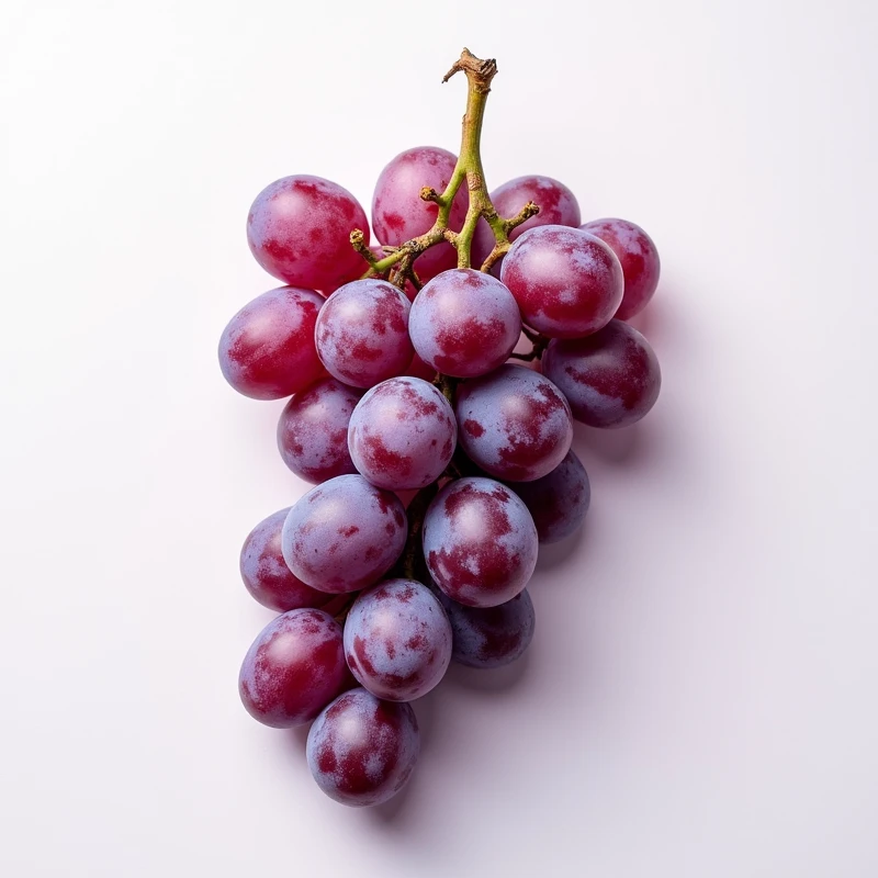 Grapeseed，Clean background，White or light-colored background