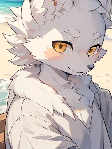 ((Best image quality)),masterpiece,The only person,Very detailed,(Male Arctic fox:1.5), (White skin:1.3), hairy,((Golden pupils)),(White fur:1.3) ,(Gray ears),(hairy 动物 耳朵s),t-shirt,((Ha ha)),Delicate face,Detailed clothes,(whole body),Character Close-up,Barefoot,seaside,Ultimate eye