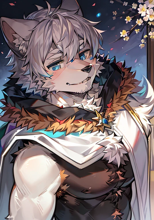 Furry，Wolf Boy，musculature，White fur，crystal blue eyes，Single fluffy tail，greyt hair，short detailed hair