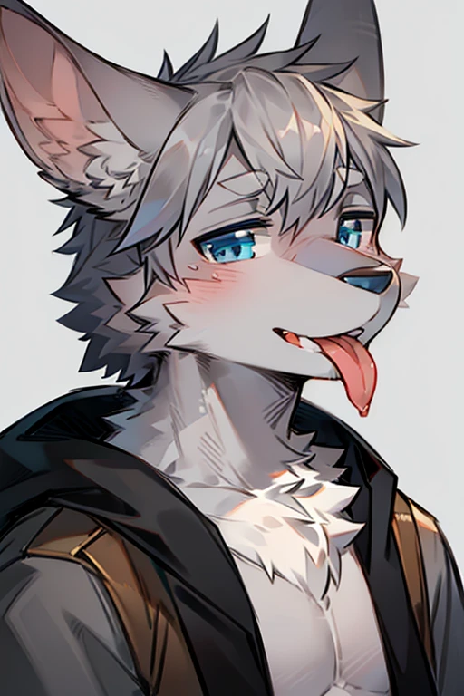 hairy, Boys, small, Gray coat, anthropology, Blue eyes, facial photo, Gray background, tongue slightly out, Smeared appearance, Pink nozzle, hairy狼耳朵, Gray ears, A completely grey character.