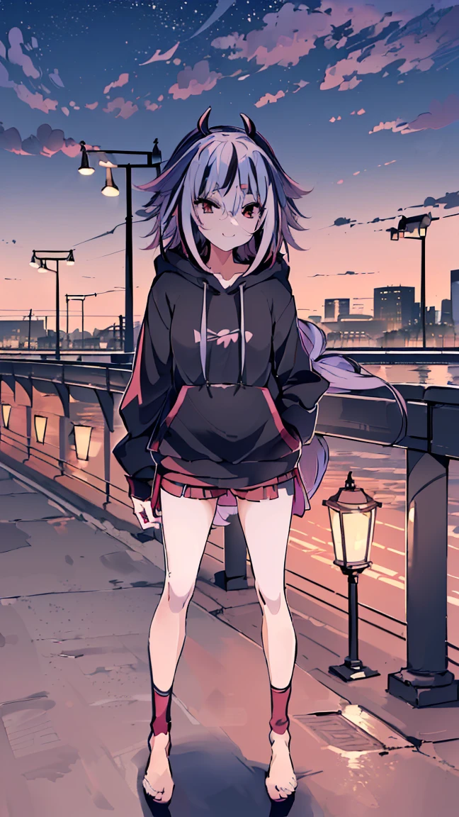 masterpiece, Highest quality, High resolution, Very detailed,(((Mikoto Naruka))), (((smile)))、(((Standing in the distance))), (((Streetscape))), (((On Bridge))), (((Red railing))), (((river))), (((Night Sky))), (((Street lamp))), (((Wearing a black hoodie。))), (((hot pants))), (((Multicolored Hair))), (((horn))), (((Pink Eyes)))