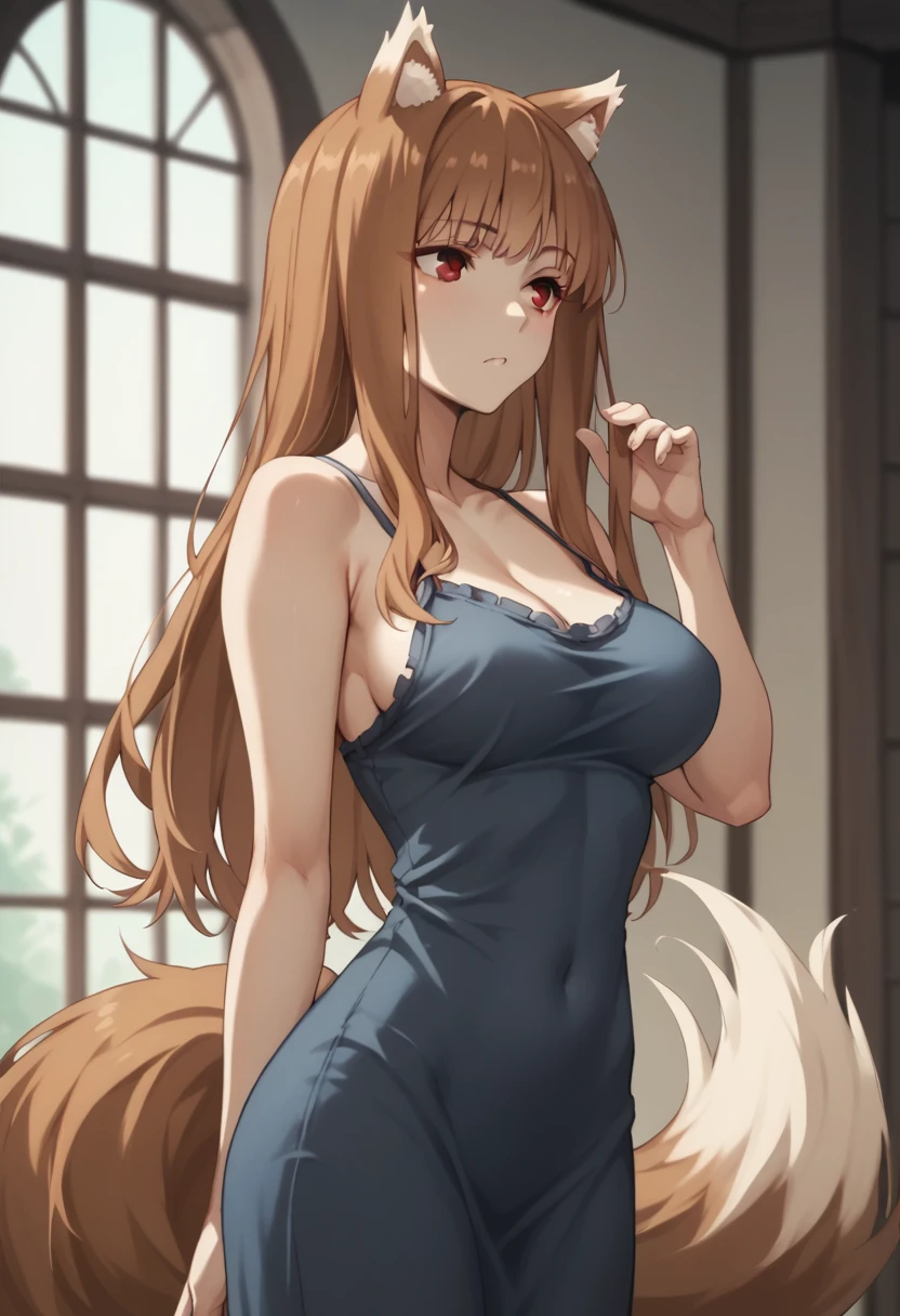 Brown Hair,Long Hair,Red eyes, Wolf Girl,Wolf Ears,Wolf's tail、Large Breasts、Long chest、camisole(tight)Maxi Dresses、