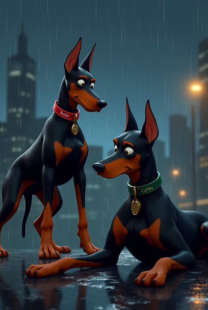 I want a realistic drawing where a Doberman dog with a red collar and a tag that says Bucker is standing next to a Doberman dog lying down and looking angry with a green collar that says Caillou., with a background of a city at night while it rains