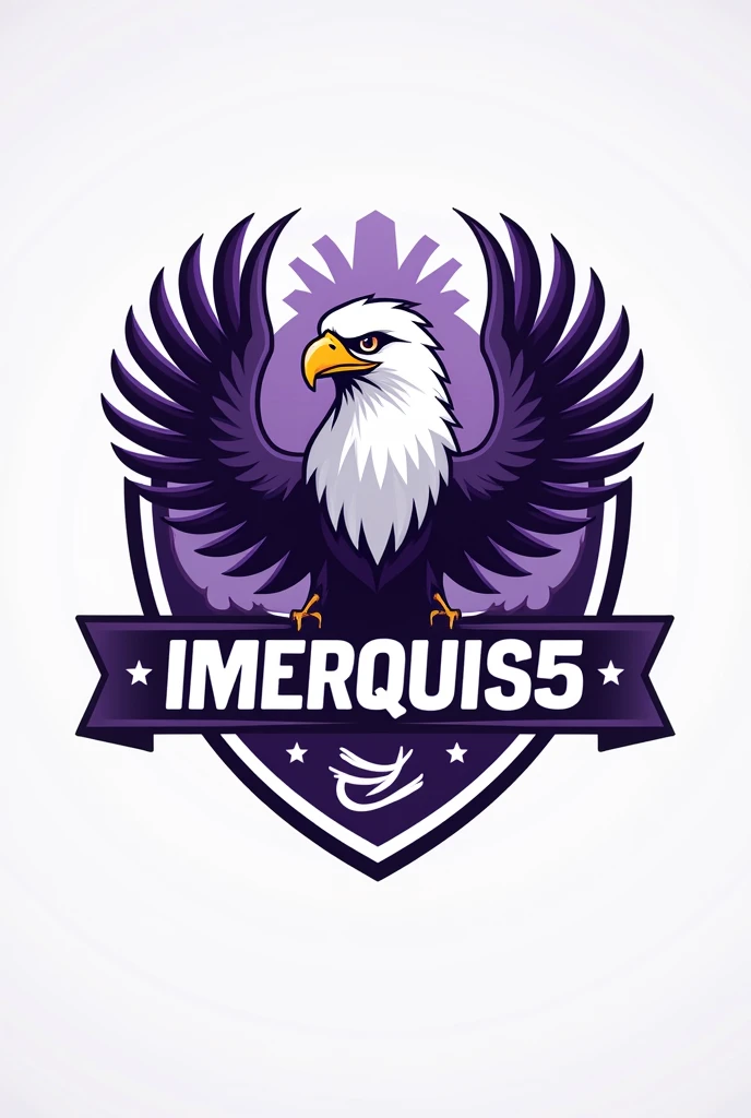 I want to create a logo with the name IMERQUIS5 and with an eagle and with football designs in purple and white