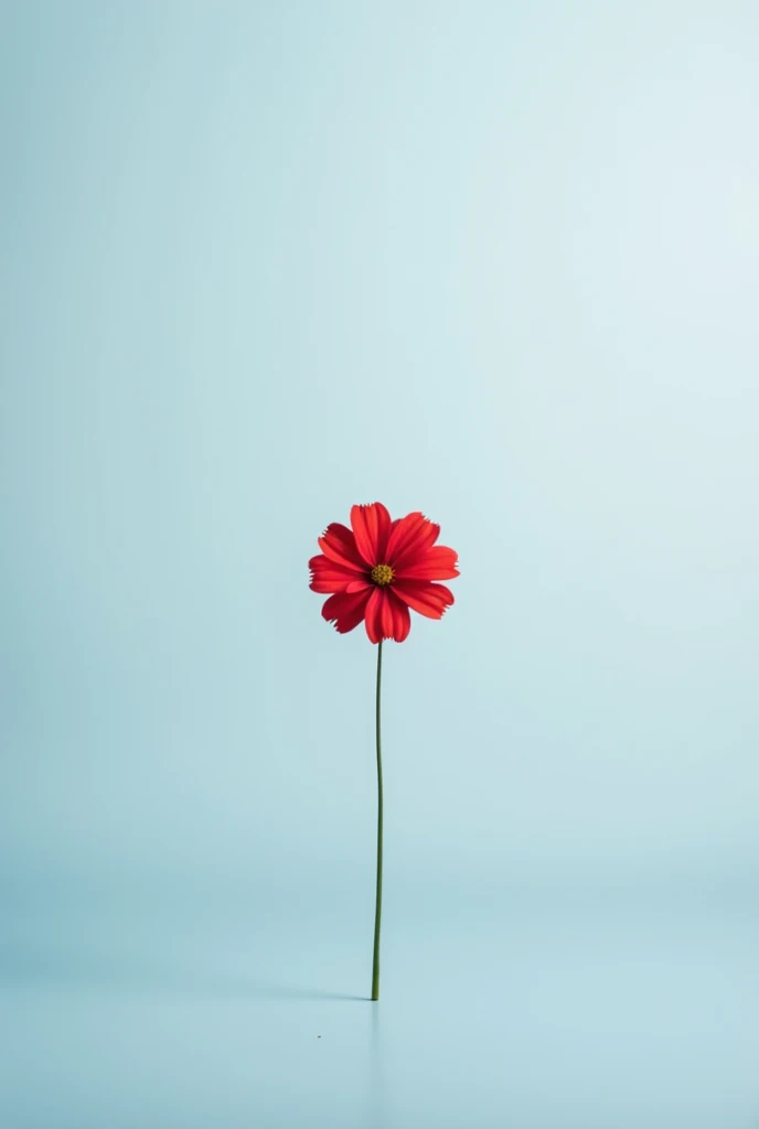 Create a minimalist blue and white photo with a red theme " of the things I always wanted to say but didn&#39;t have the courage"

