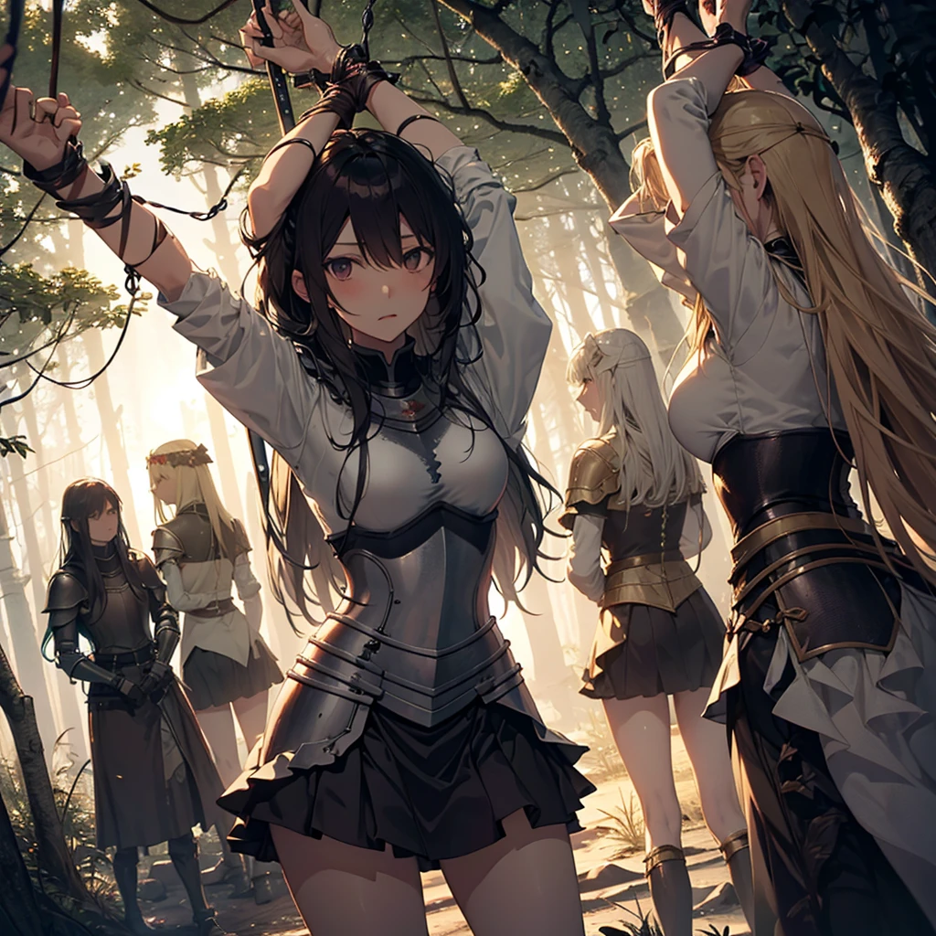 A group of  female knight, (in the forest), Mr.々Hair style, Harem, Wearing armor, metal armor, night, Detailed aspect, , Short skirt, Seduce, sword, Tied up, BDSM