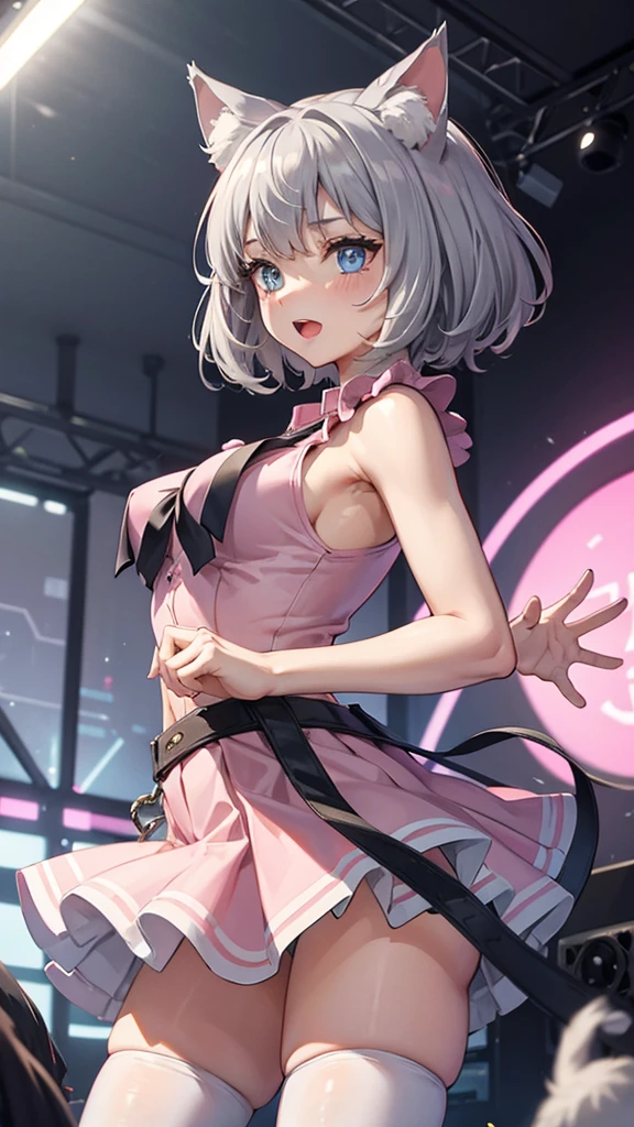 (masterpiece), (best quality), (High quality), (perfect anatomy), (perfect hands),BREAK, expressive eyes, perfect face, 1girl, (grey cat ears: 1.5), BREAK, (medium hair, grey hair: 1.6, pixie cut), BREAK, (big eyes, perfect eyes, blue eyes, thick eyelashes), BREAK, (thin eyebrow), BREAK, (short height), slim bulid, BREAK, happy, singing, open mouth, blush, BREAK, (medium breasts), BREAK, (pink shirt: 1.4, idol shirt: 1.2, cropped: 1.3, sleeveless: 1.3), BREAK, (low-rise pink idol miniskirt: 1.3), (white stockings: 1.2), BREAK, (expressive dancing), (upper body), BREAK, (view from front: 1.5), BREAK, (standing on the stage), BREAK, ( face_focus), looking at the camera,