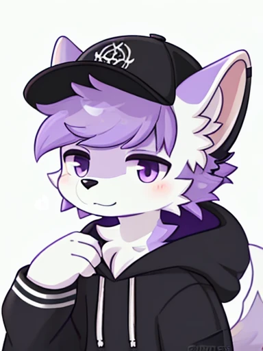 ((Best Quality ,artwork)) , anthro boykisses ,cap ,Gothic clothing ,Purple Hoodie