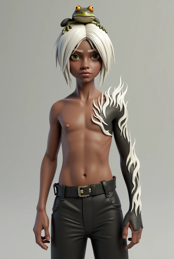 A realistic 3D character with white hair parted in the middle with a frog on top of the head a chest with flame details on the right arm white color on the left black color brown skin thin face male character