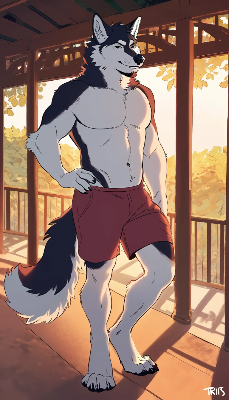 solo, male, anthro (striped husky), by tritscrits, (by botch:0.7), digitigrade, digital artwork, (flat colors:1.3), striped brown husky tail, mature male, sexy, ((detailed background)), athletic, white fur, looking at camera,
