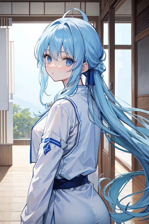 Light blue long hair tied up、A woman wearing a white uniform、Inside the dojo、human、Fighter、Battle scene