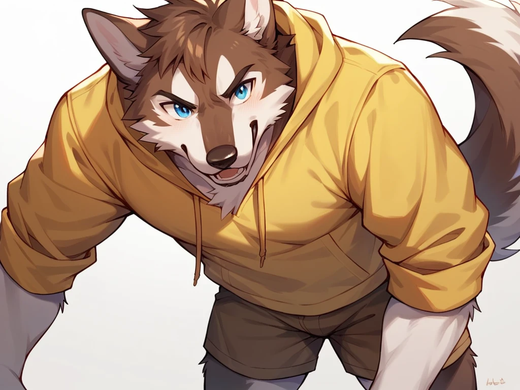 score_9, score_8_up, score_7_up, high quality, hires, anthro, male, husky, brown fur, brown ears, mostly white fur, blue eyes, yellow hoodie, brown shorts, white background,