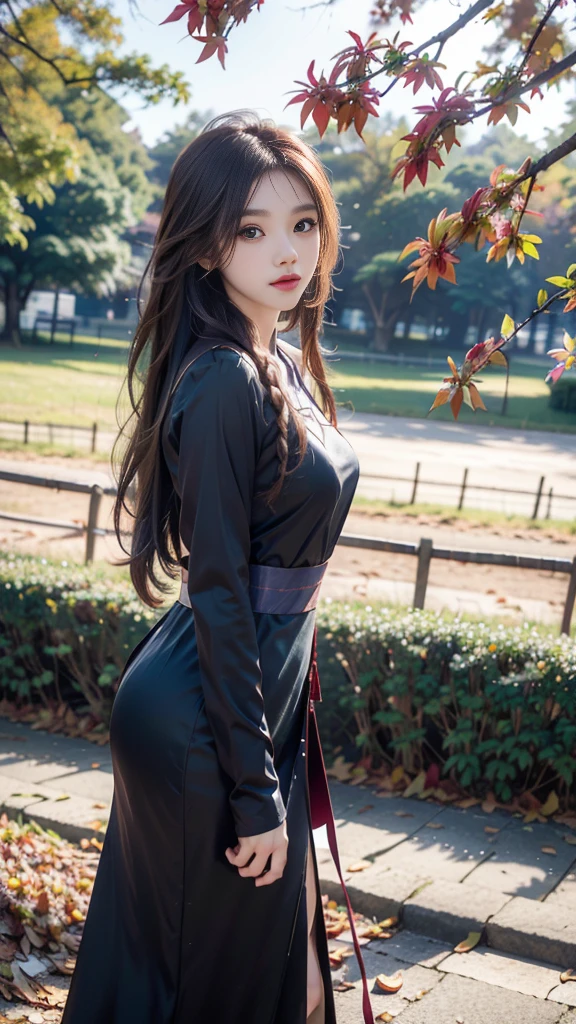 ulzzang-6500-v1.1, (RAW photo: 1.2), (Real photo), (Real photo: 1.4), 1 girl、Perfect anatomy、1 , Looking at the camera、Medium length hair、side braid, Vietnamese ao dai, walking under a tree with many fallen leaves, in the sunset, ((under a tree with many fallen leaves: 1.1))、(Business service)、Asian eyes Ella,