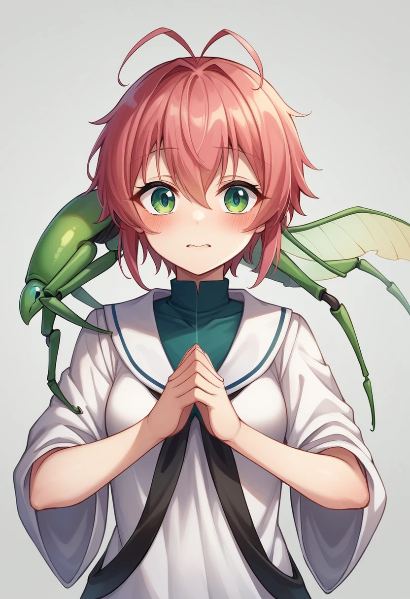 4K、8k、Human female、Personification、Praying mantis、PersonificationしたPraying mantis、Ninja、Mantis Element.Ninjaのように. both hands become weapons. Mantis sickles in both hands、Compound eyes. Anime Style