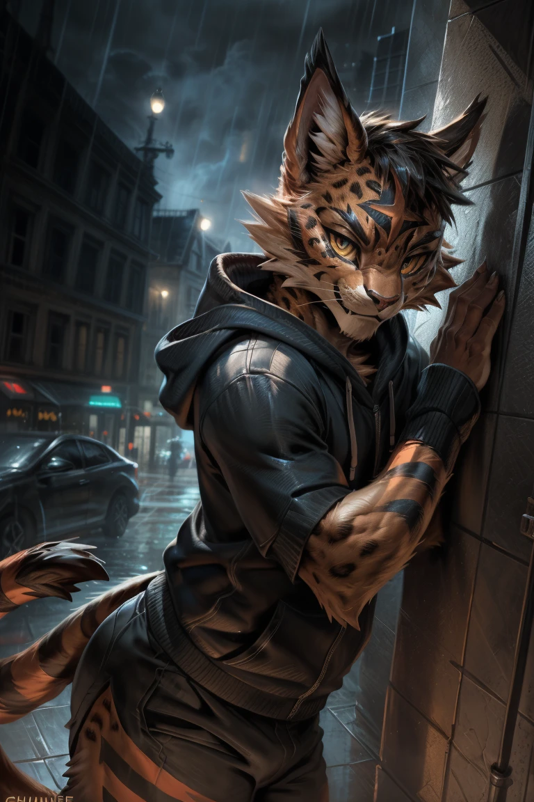 4k, ,8K, A high resolution, best quality, perfect colors, perfect shadows, perfect lighting, posted on e621, (by Chunie, by canyne khai, by t.y.starale), male, furry, Torracat(Pokemon), Torracat,Pokemon,anthro, solo, yellow eyes, (Realistic eye details 1.2), night city, rain, (Realistic Rain detail), Streetwear Hoodie wear, Full body like, muscularbody, leaning against the wall, dramatic lighting, soft lighting, day, highly detail, Hair coiled, delight, Standing up position, cool pose charm, Abstract beauty, centre, Looking at the camera, Facing the camera, nearing perfection, Dynamic, highly detailed, illustration, (Realistic background), (Leopard Tail), ((Bonifasko lighting)), (Detailed eyes), perfect pupils, detail eyes, detail fluffy fur, (seductive face:1.2), fit body, Looking at the camera,, fit body, perfect male figure, Detailed fur, Detailed face, Perfect face, Detailed background, (Complex), (Super Detail), (Ultra Clear), (Best Quality)
