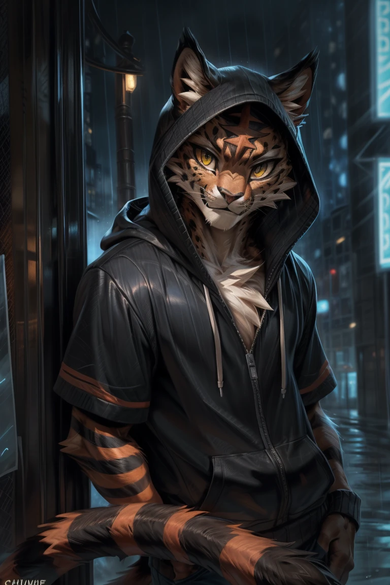 4k, ,8K, A high resolution, best quality, perfect colors, perfect shadows, perfect lighting, posted on e621, (by Chunie, by canyne khai, by t.y.starale), male, furry, Torracat(Pokemon), Torracat,Pokemon,anthro, solo, yellow eyes, (Realistic eye details 1.2), night city, rain, (Realistic Rain detail), Streetwear Hoodie wear, Full body like, muscularbody, leaning against the wall, dramatic lighting, soft lighting, day, highly detail, Hair coiled, delight, Standing up position, cool pose charm, Abstract beauty, centre, Looking at the camera, Facing the camera, nearing perfection, Dynamic, highly detailed, illustration, (Realistic background), (Leopard Tail), ((Bonifasko lighting)), (Detailed eyes), perfect pupils, detail eyes, detail fluffy fur, (seductive face:1.2), fit body, Looking at the camera,, fit body, perfect male figure, Detailed fur, Detailed face, Perfect face, Detailed background, (Complex), (Super Detail), (Ultra Clear), (Best Quality)
