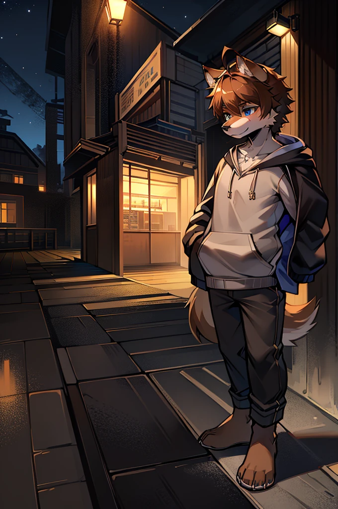 Wolf，Handsome，Long muzzle，Brown fur，Ahoge，high school student，Blue eyes，summer，Brown Hair，Are standing，summer祭り，1 person，night，A little muscular，wearing a short-sleeved hoodie