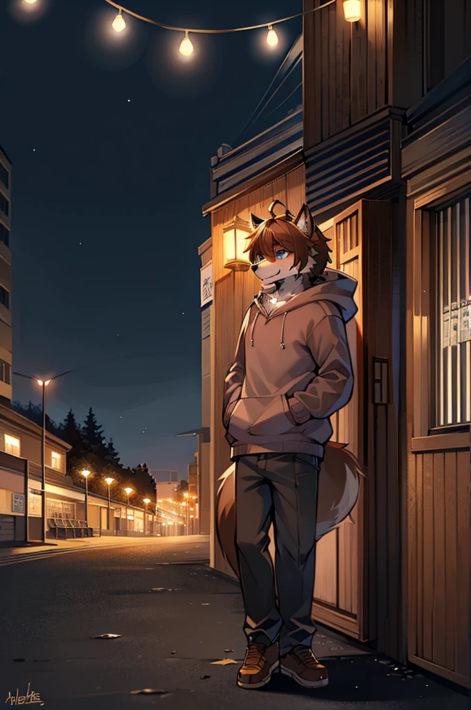 Wolf，Handsome，Long muzzle，Brown fur，Ahoge，high school student，Blue eyes，summer，Brown Hair，Are standing，summer祭り，1 person，night，A little muscular，wearing a short-sleeved hoodie