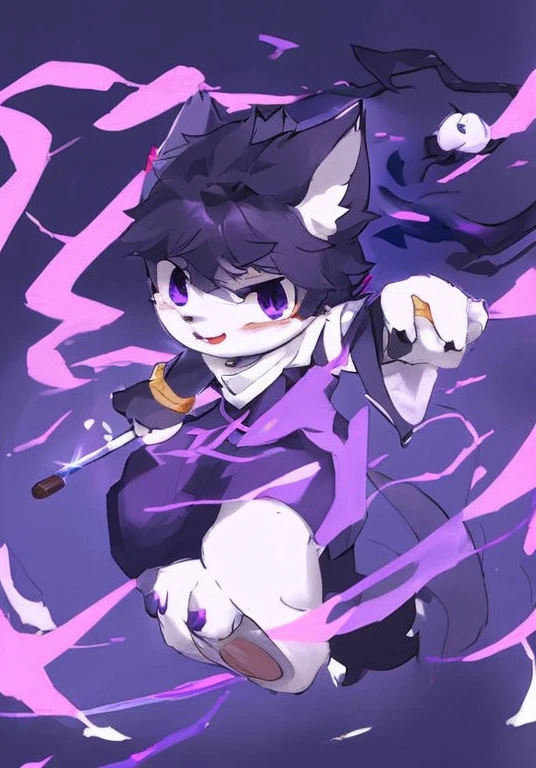 Black Hair，with serious and determined expressions，Black and purple outfit，Purple Eyes，White fur，Big furry tail，Magic sword in hand，Male cat，Boys，Handsome