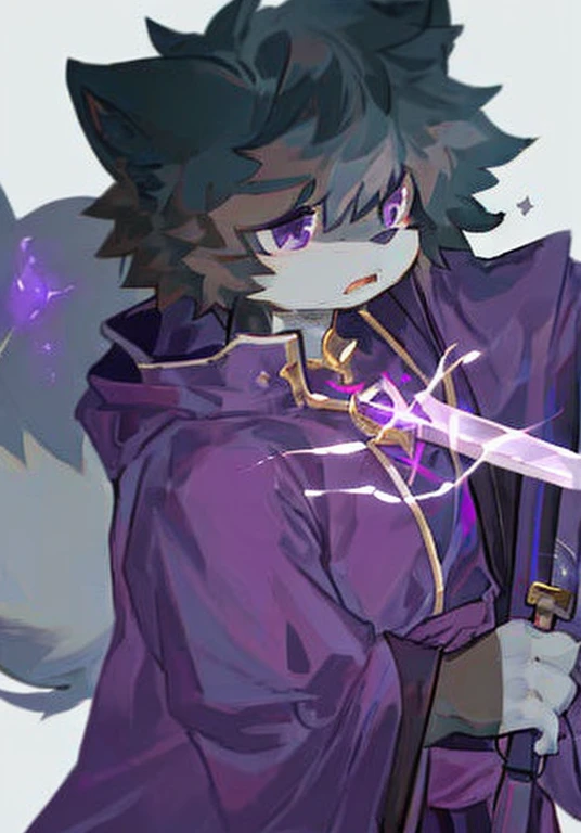 Black Hair，with serious and determined expressions，Black and purple outfit，Purple Eyes，White fur，Big furry tail，Magic sword in hand，Male cat，Boys，Handsome