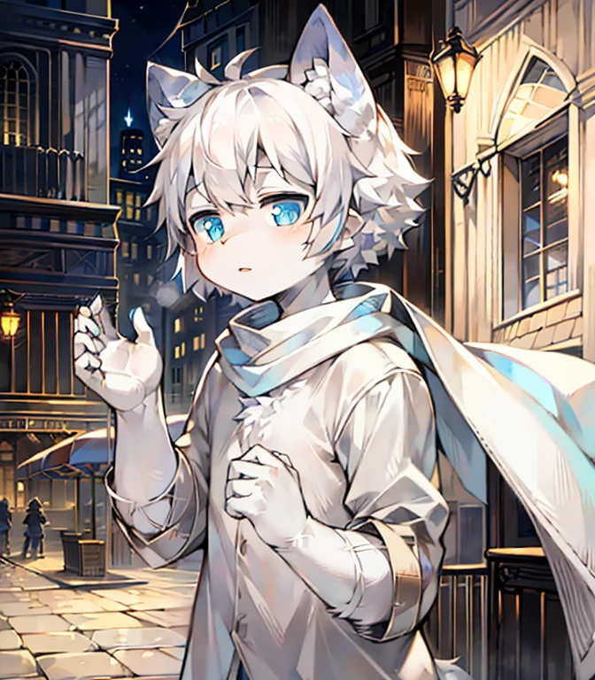 Highest image quality,masterpiece,Delicate hands,Delicate eyes,Normal eyes,Gray cat ears,hairy,White hair,cute,Handsome,((White scarf)),Cat Style,Shota, Blue pupils, City夜景, White hair, By Bangs,Mottled light and shadow, Short and delicate hair,Humanity,With God's bright eyes, City,winter background,2022,Black clothing,solo,new year,Oval face,snowflake,Leisure