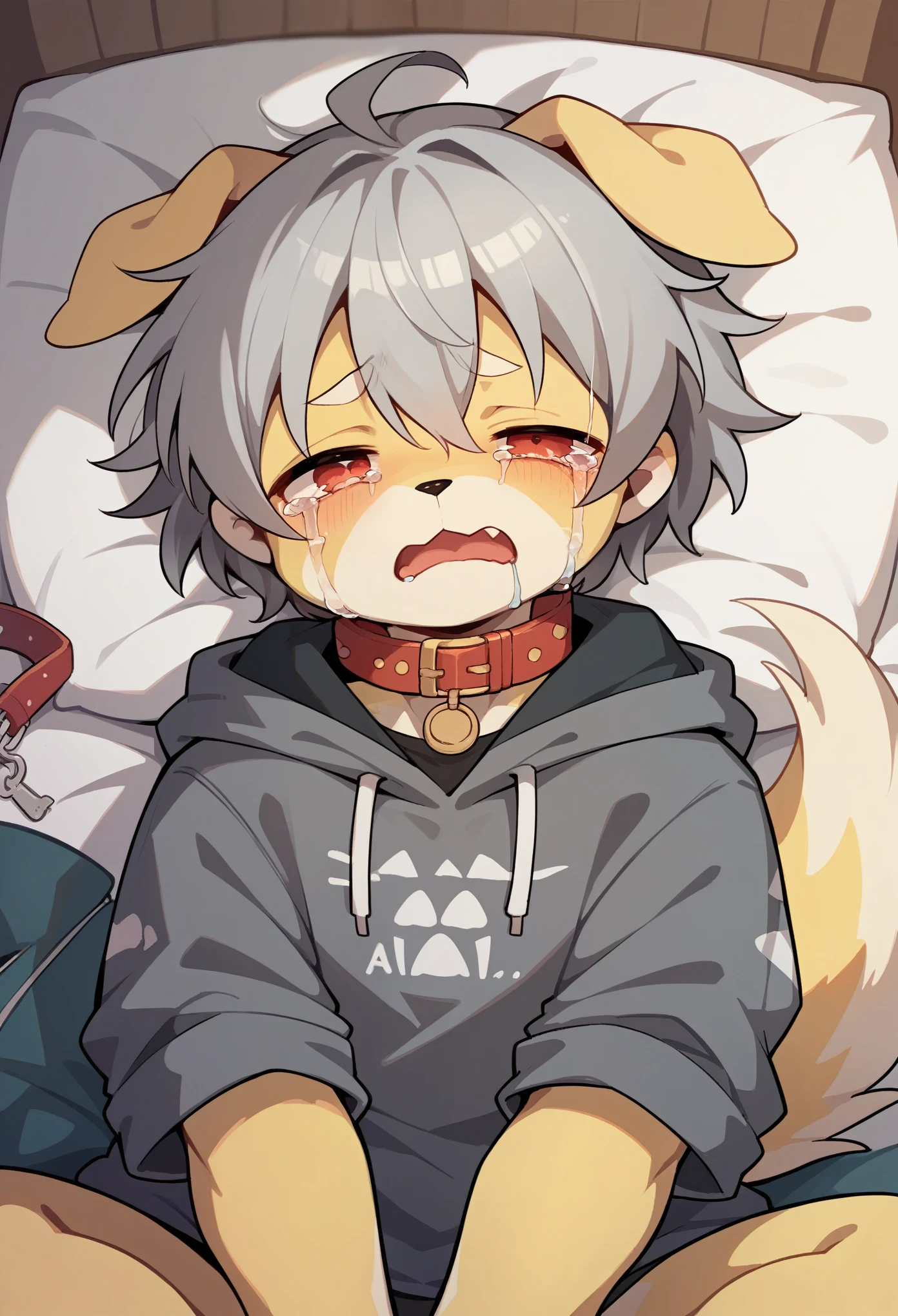 Ultra-high resolution,Yellow fur,(Gray Hair)hoodie clothes,Red collar, ,cry,dog,Crying loudly,Lots of tears,tail,Bed,My name is Kuruha