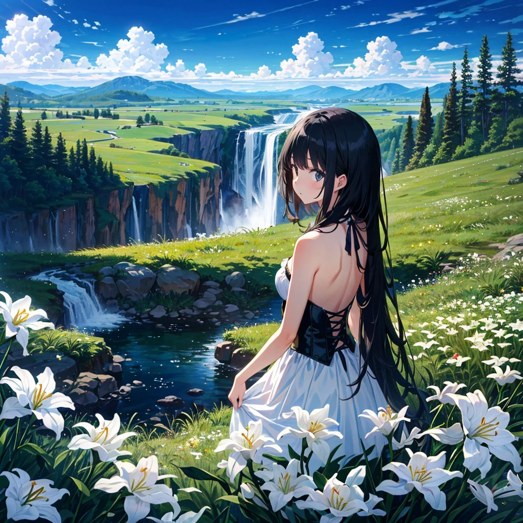 (masterpiece,8k wallpaper, best quality),(best illumination, best shadow, an extremely delicate and beautiful),
A girl with long black hair sits atop a wooden pole,surrounded by white lilies and green grass. In front lies an endless valley filled with waterfalls,a blue sky,and white clouds,in the style of an anime-inspired oil painting with delicate brushstrokes and high resolution.,
1girl, from back, backless dress,,, corset, very long hair,