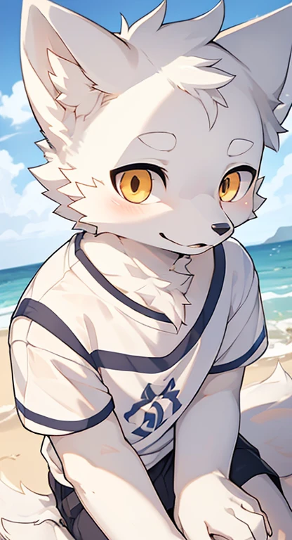 ((Best image quality)),masterpiece,The only person,Very detailed,(Male Arctic fox:1.5), (White skin:1.3), hairy,((Golden pupils)),(White fur:1.3) ,(Gray ears),(hairy 动物 耳朵s),t-shirt,((Ha ha)),Delicate face,Detailed clothes,((Full body close-up)),Character Close-up,(barefoot),seaside,Summer,The Ultimate Eye,光脚站立在seaside小城中,