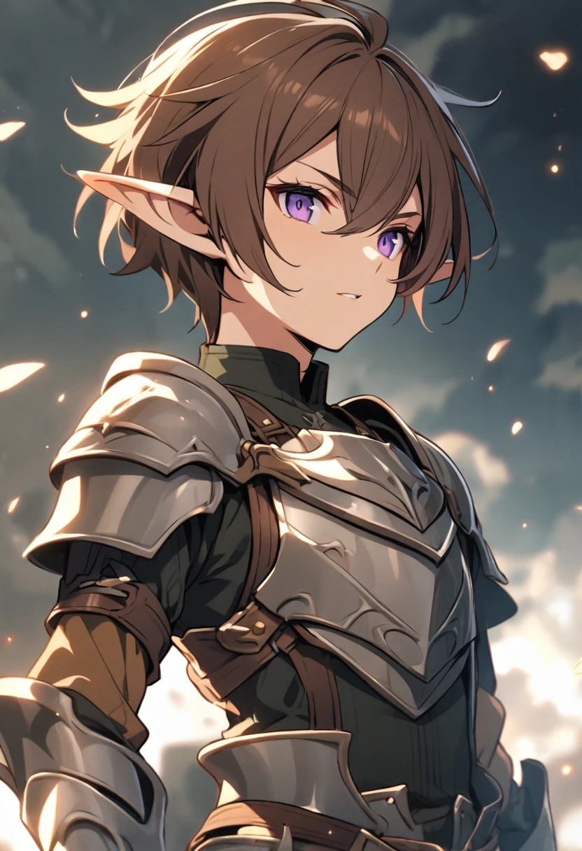 Elf, Brown Hair, Purple Eyes, Wearing Armor on the body, Wearing a Mask, boy