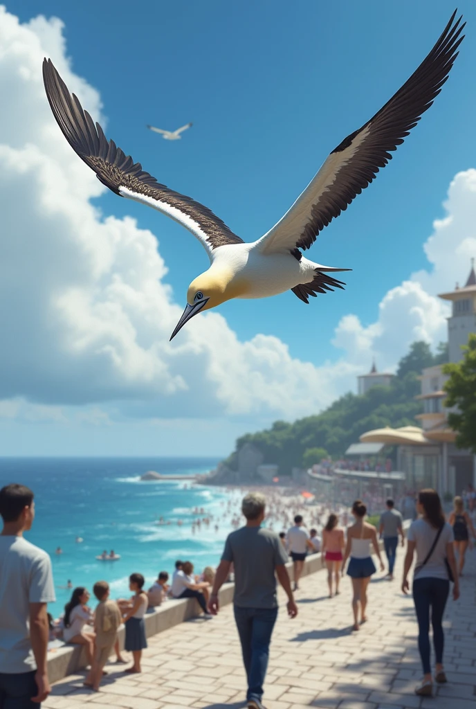 1 adult gannet flying watching humans interact