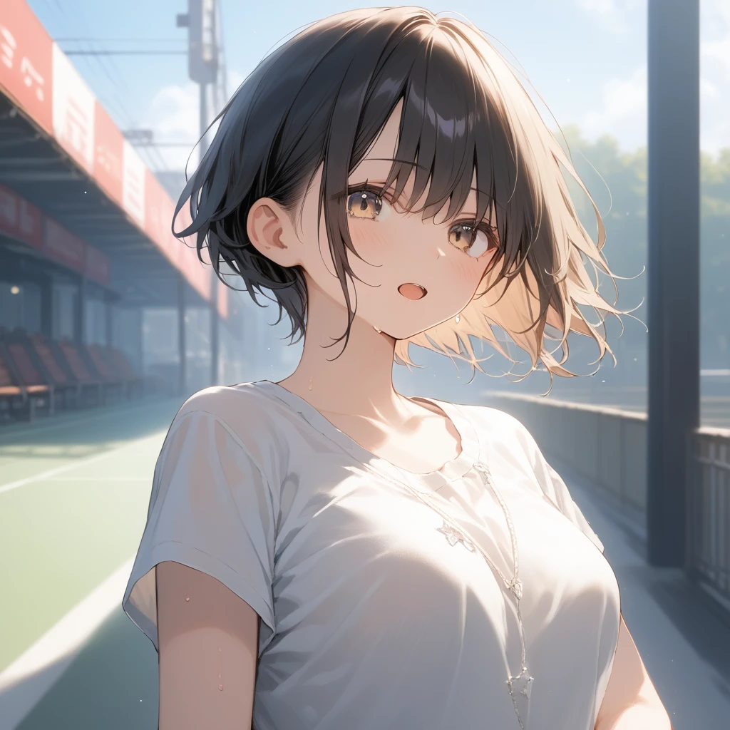 score_9, score_8_up, score_7_up, source_anime, best quality, masterpiece, official art, absurdres, highres, ultra-detailed,waifu2x,Collection: Slice of Life,break,1girl, short hair, pixie cut, flipped hair, soft breasts, beautiful (well-shaped) breasts,beautiful detailed eyes, sweat, gym shorts, (wavy mouth:0.3), open mouth, outdoors, (Detailed Lighting), (Detailed background),break,(clear line illustration:1.2), super detailed skin,very high resolution, very aesthetic, Best sexual lighting powered by famous artist, 8k, 16k, cute picture,beauty illustration,photoshop_(medium),,(Detailed Lighting),best anime 8k konachan wallpaper, pixiv contest winner,