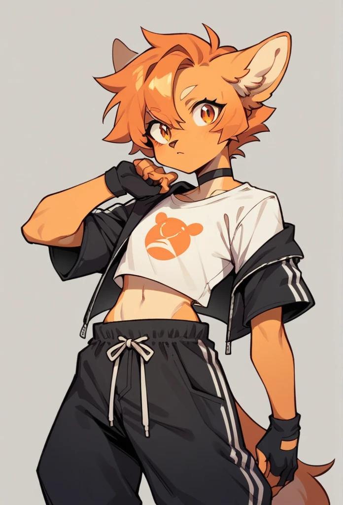 anthropomorphic character wearing a short white blouse with short sleeves, black choker, black open jacket with long sleeves, that appear to be bent up to the elbows, baggy pants (orange and black pants), drawstring at the waist, black bands on one arm and a fingerless glove on one hand