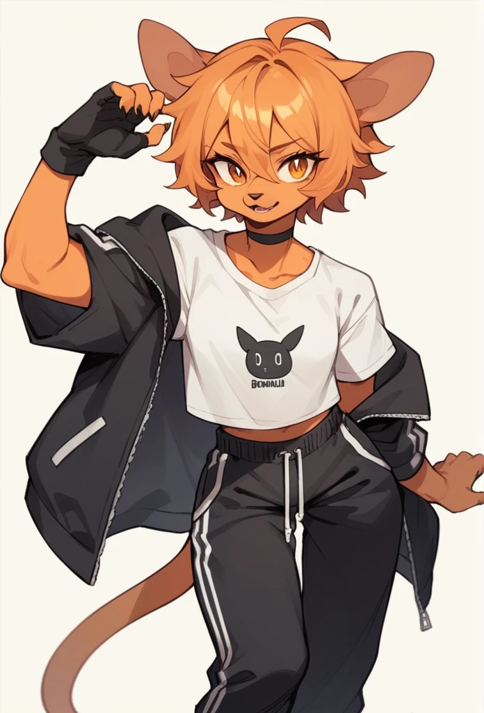 Female anthropomorphic character wearing a short white blouse with short sleeves, black choker, black open jacket with long sleeves, that appear to be bent up to the elbows, baggy pants (orange and black pants), drawstring at the waist, black bands on one arm and a fingerless glove on one hand