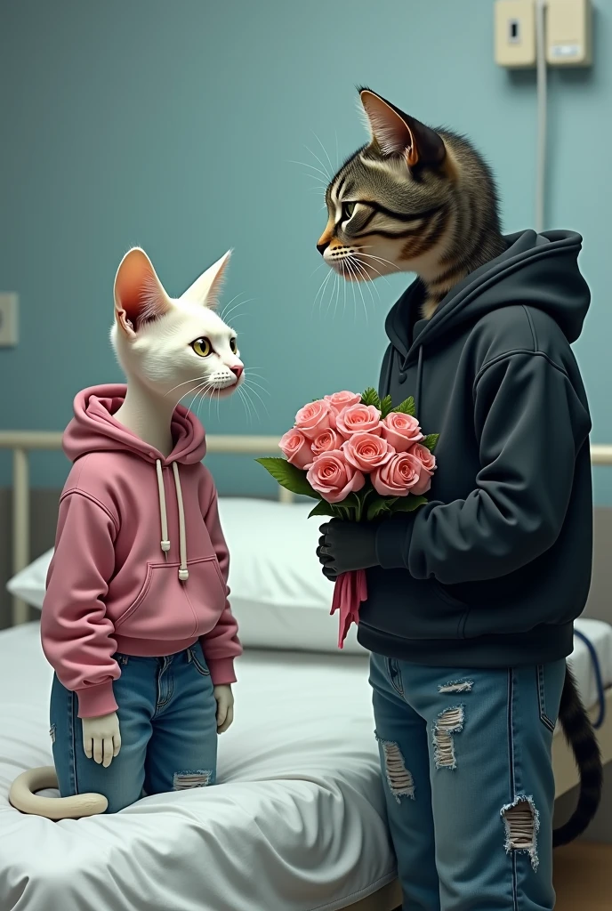 A white bony cat dressed in pink top and blue jeans on hospital bed looks with hope on a yellow cat dressed in tattered black hoodie and black jeans with bouquet in hands