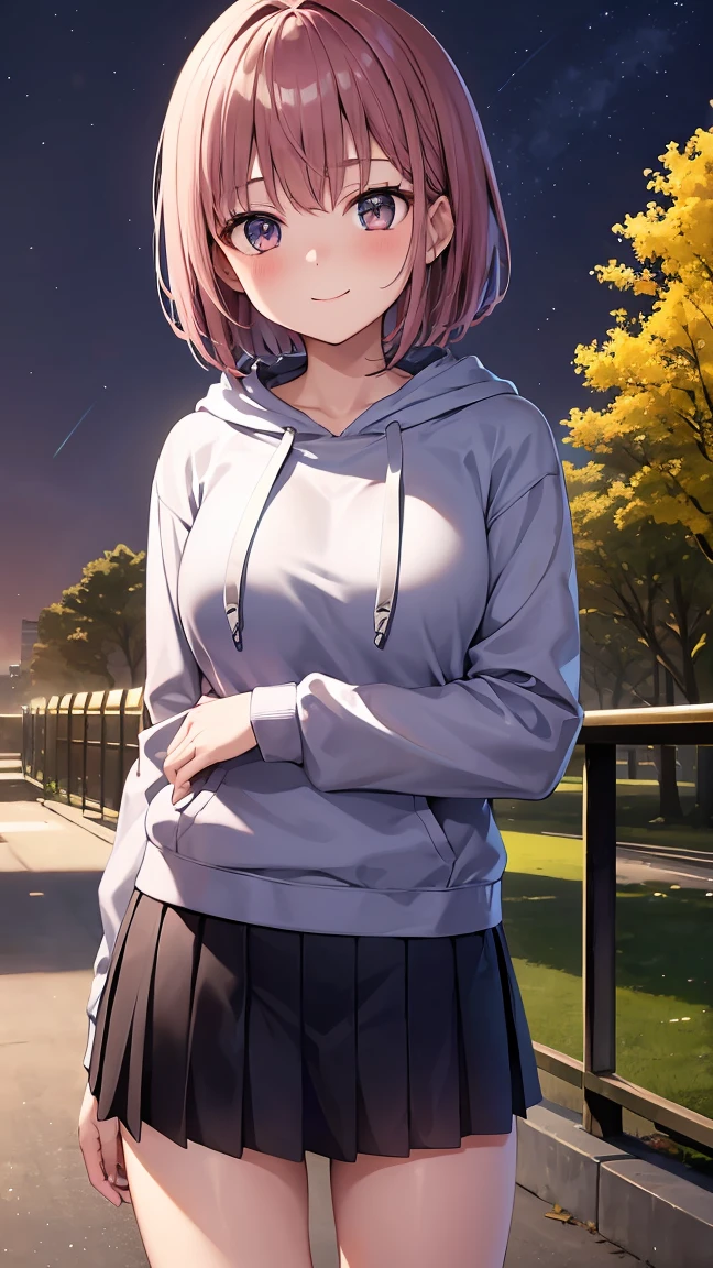 A  teenage woman stands in a park at night。She wears a hoodie、mini skirt、I&#39;m wearing shoes。She is posing seductively with a big smile.、Her short hair and shiny skin are impressive.。What really catches your eye are her huge breasts.。The whole body is shown.、The image of 1girl is clearly depicted.。