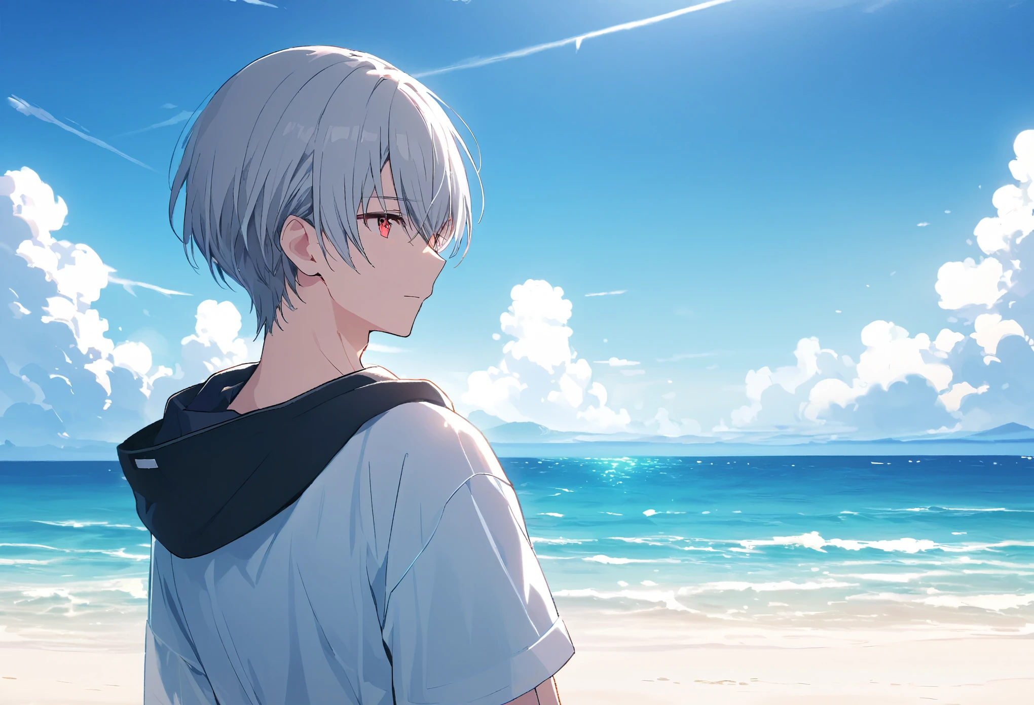 good looking, alone, 1 male, Gray Hair, Red eyes, shirt, Black and white hooded, noon, White Light,cute目,Short hairstyle,cute,Falling from the sky,綺麗なsummerの空,Lots of white clouds,summer,Ocean,Glittering scenery,bright,Blue sky,looking at the camera