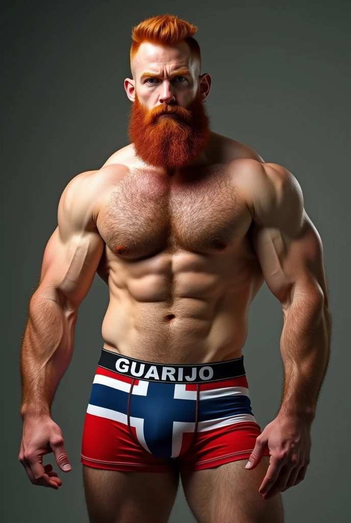 Strong, bearded red-haired man wearing underwear printed with the flag of the State of Prussia, written in capital letters “GUARIJO” in large letters on the elastic of the underwear.