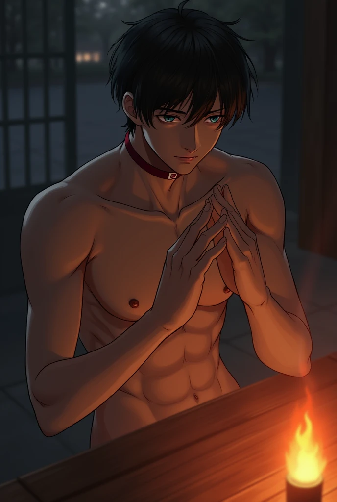 1boy、Handsome Men、Japanese male, 、Completely naked、Full nudity、erection、Huge penis、Highest quality、Realistic、beautiful、Sad look、shrine、night、darkness、Worship with your hands together、Red collar、inflammation