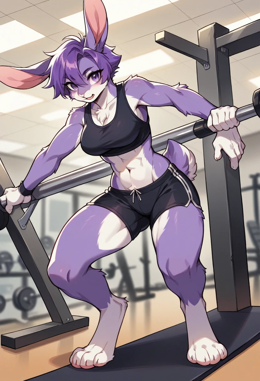 create a picture of a half rabbit character  with purple giant rabbit digitigrade legs with white paws, put purple rabbit ears on top of her head, make her wearing black shorts and a black athletic tank top, put purple fur on her arms from her elbows down, give her short purple hair, make her legs look fluffy and furry, make it in an anime style, gym, female, medium breasts