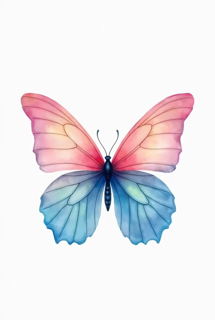 create a watercolor butterfly, with pink on the upper wings and a gradient going to blue on the lower wings, all in pastel tones.
