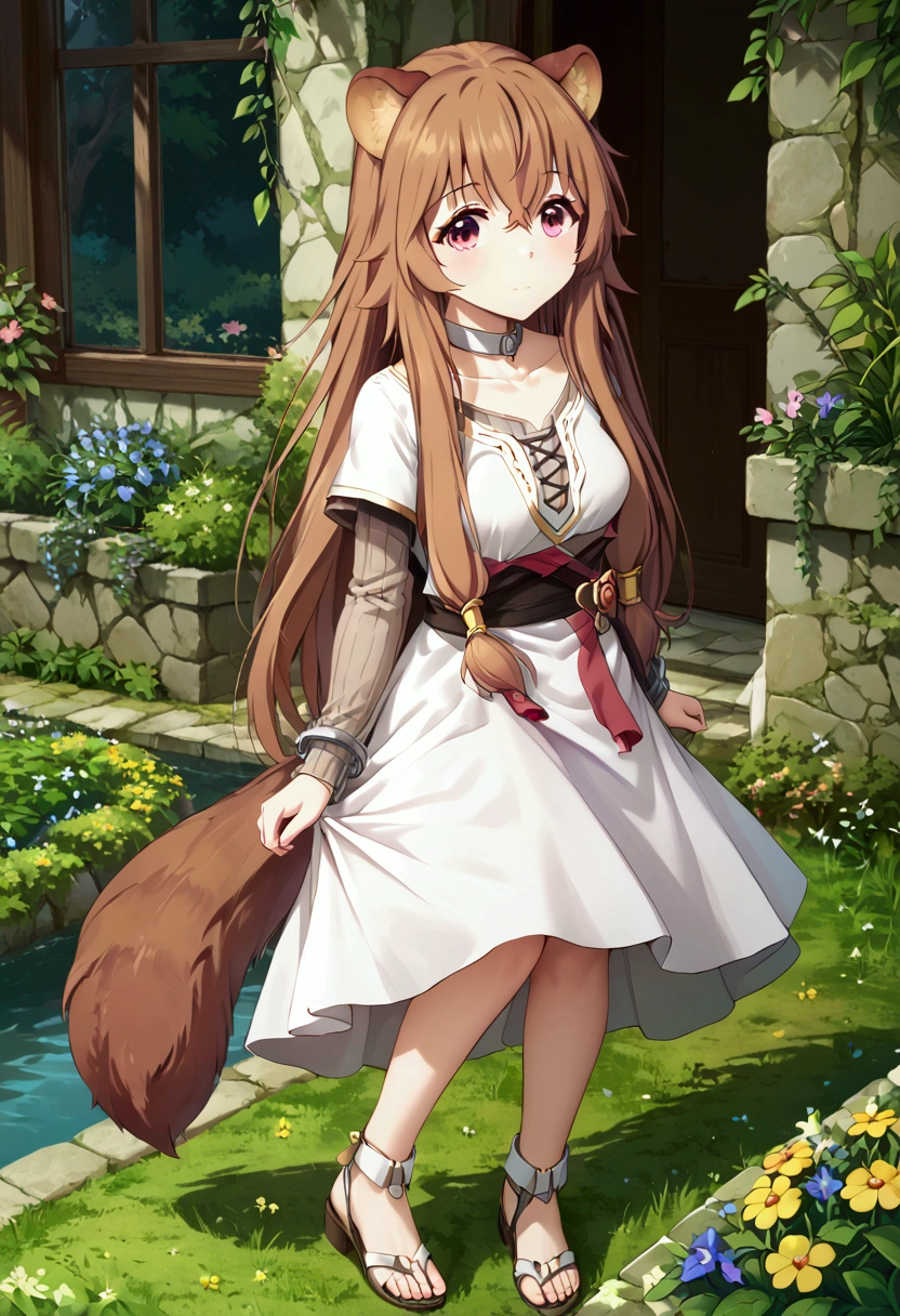 score_9,score_8, (((perfect face))), (medium breasts), focus breasts, full body view, {looking at viewer},(brown hair), (bangs), (long hair), (animal ears), (raccoon ears), (raccoon girl), (raccoon tail), 1girl, raphtalia, (pink eyes), (detailed eyes), (perfect Eyes), garden, outdoors, white choker, white dress, short sleeves