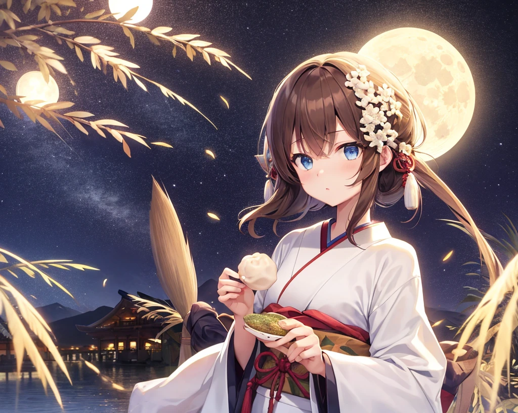 Landscape, (Moon Viewing), Three-Colored Dumplings, Girl, Brown Hair, Blue Eyes, Japanese Pampas Grass, Night, Full Moon, Precise Hands, Precise Eyes, High Quality