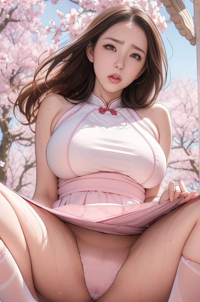 (Very beautiful face and eyes:1.2),(Annoyed face),((Big Breasts))、White high leg Chinese dress、、Fresh Skin、Beautiful legs、cherry blossoms、 (Highest quality,masterpiece:1.2),1 person,Looking at the audience,Spread your legs、Squat、 Natural light,Hair blowing in the wind,Beautifully detailed skies,((Sweating all over the body)), skirt lift, pink panties,
