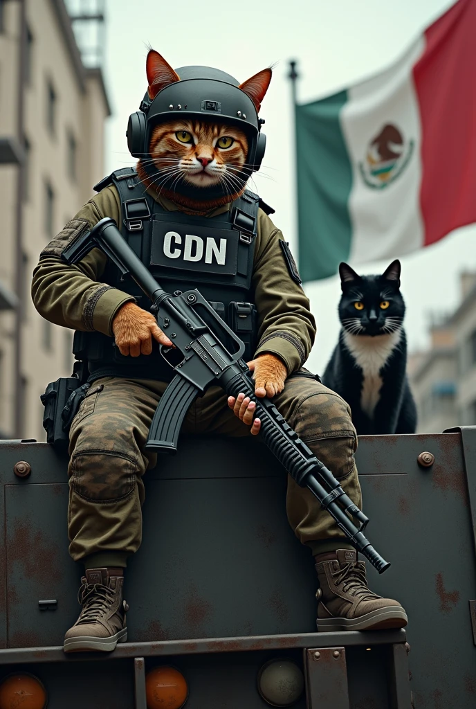 A cat with an AK in his hand, a bulletproof vest with the letters CDN, a modern military helmet and camouflage clothing on top of a narco tank with a beret, seen with the flag of the Cartel del Noreste and a black and white cat, a black cat behind him, there is a truck with steel plates on the helmet that says CDN and where is the armored truck with steel plates, truck?