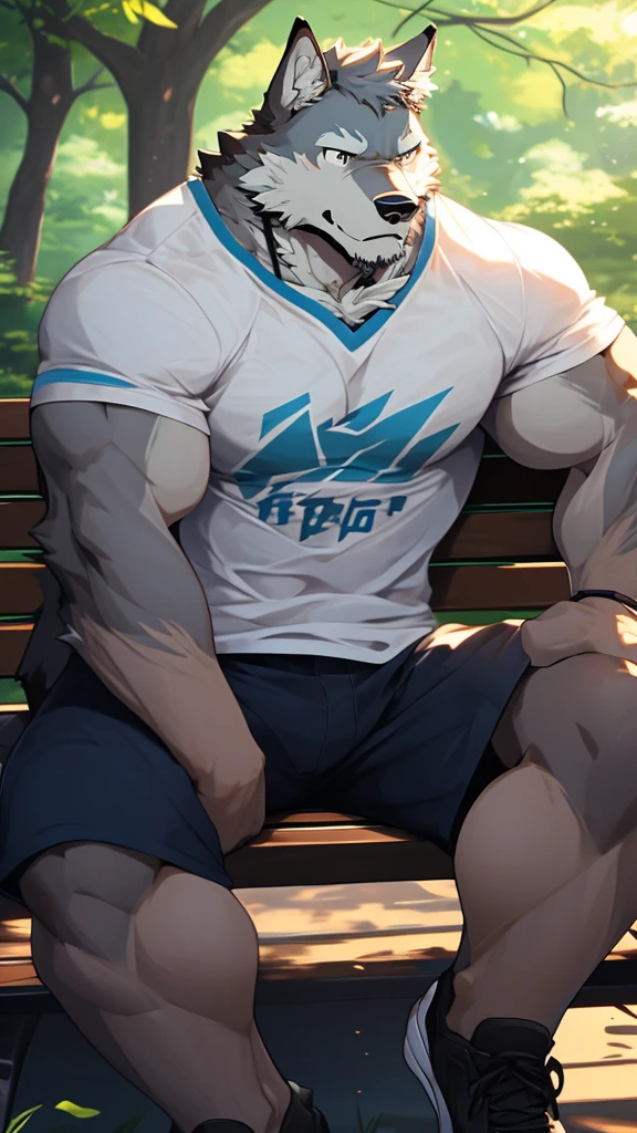 A Picture In front of A Very Muscular Furry Gray Wolf. He is Sitting On A Bench in A Park Forest. He is wearing A Blue short and white T-shirt with short Blue Sleeve. He have A Frowning Face and looking at you