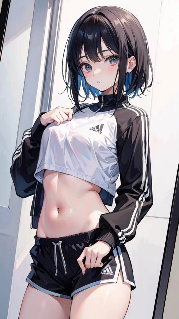 (masterpiece, best quality), 1girl,cropped hoodie underboob, cropped hoodie,underboob,hoodie,  school hallway,